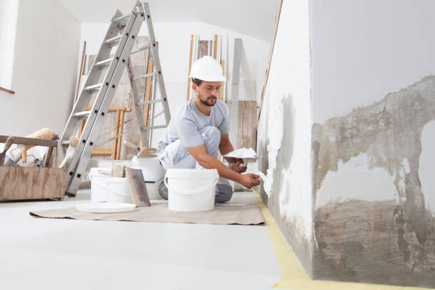 Best Trim and Molding Painting  in Tipton, IA