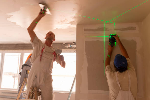 Best Water-Damaged Drywall Repair  in Tipton, IA